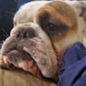 Meet your Posher, The mills